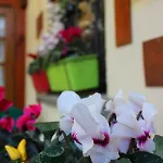 Mina House *