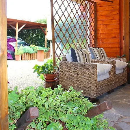 Mina House *