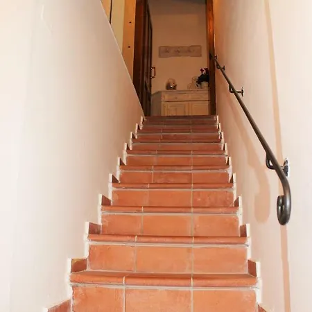 Mina House *
